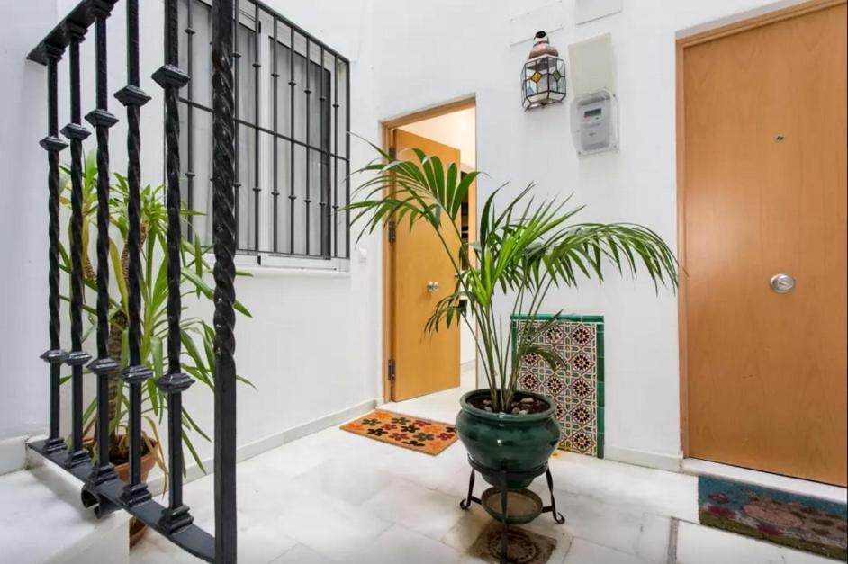 Estudio En El Corazon De Sevilla المظهر الخارجي الصورة